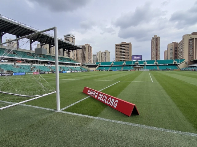 Vila Nova x Goiás: Transmissão ao vivo e tudo sobre o clássico