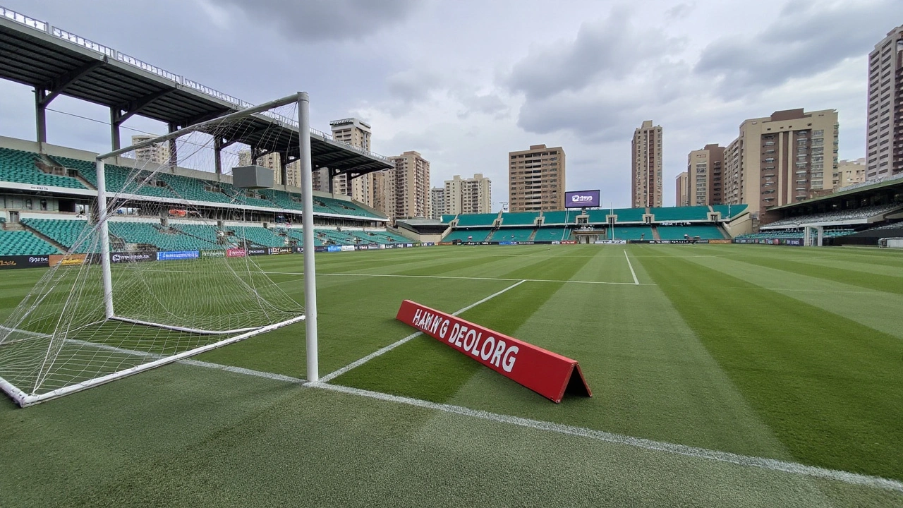 Vila Nova x Goiás: Transmissão ao vivo e tudo sobre o clássico